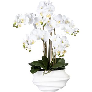 Phalaenopsis, real touch, hoogte 750 mm