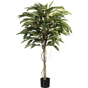 Ficus alii de luxe, 375 bladeren, pot 170 x 150 mm