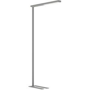 LED-staande lamp MAULjet, hoogte 1950 mm, dimbaar MAUL