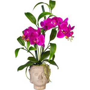 Orchidee-bamboe arrangement, in een cementen Boeddha-pot