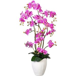 Orchidee Phalaenopsis, real touch, in keramische vaas, hoogte ca. 1100 mm