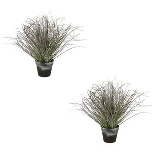 Gras in pot, ijzig, groen, VE = 2 stuks, hoogte 450 mm