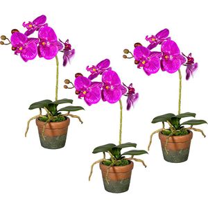 Orchidee Phalaenopsis, real touch, in een terracotta pot, VE = 3 stuks