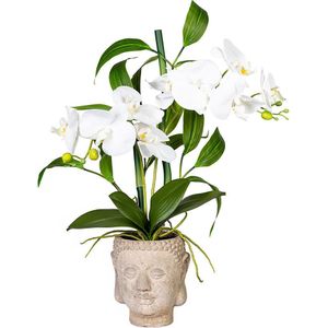 Orchidee-bamboe arrangement, in een cementen Boeddha-pot