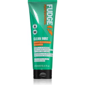 Fudge Clean Mint Shampoo shampoo voor vet haar 250 ml