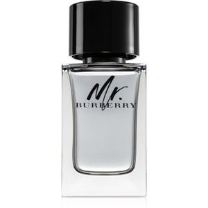 Burberry Mr. Burberry EDT 100 ml