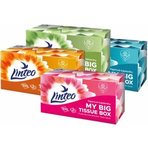 Linteo - Papieren Zakdoekjes - 200 Stuks - 2-laags - Hygiëne