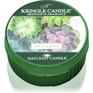 Kringle Candle Succulents theelichtje 42 g