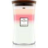 WoodWick Geurkaars Large Trilogy Blooming Orchard 611 gr
