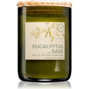 Paddywax Eco Green Eucalyptus & Sage geurkaars 226 gr