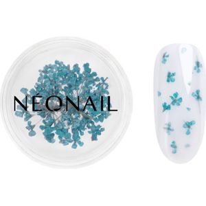 NEONAIL Dried Flowers - Turquoise - Nageldecoratie