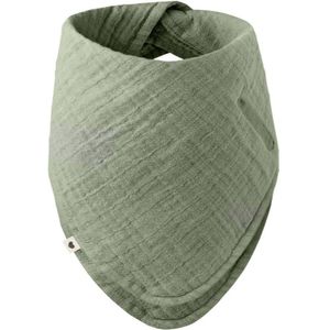 BIBS Bandana Bib slab Sage 1 st