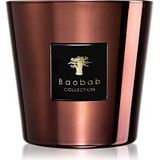 Baobab Collection Les Exclusives Cyprium geurkaars 8 cm