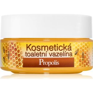 Bione Cosmetics - Honey + Q10 - Cosmetische Vaseline - 155 ml