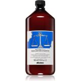 Davines Naturaltech Rebalancing Shampoo Dieptereinigende Shampoo voor Vette Hoofdhuid 1000 ml