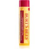 Burt’s Bees - Festive Cinnamon Apple Crisp - Lippenbalsem - 4.25 g