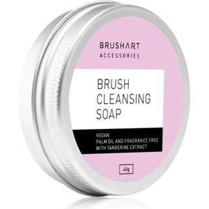 BrushArt Accessories Brush & Sponge cleansing soap Reinigingszeep voor Cosmetische Penselen 40 g