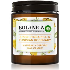 Air Wick Botanica Fresh Pineapple & Tunisian Rosemary geurkaars 205 gr