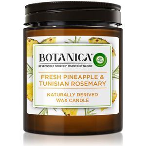 Air Wick Botanica Fresh Pineapple & Tunisian Rosemary geurkaars 205 gr