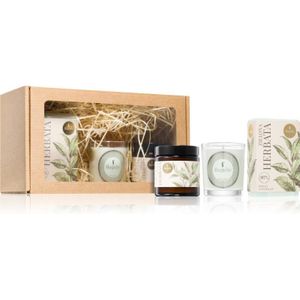 Flagolie Ritual For The Body Green Tea Gift Set 1 st