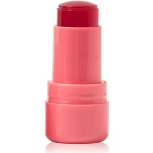 Technic Cosmetics Jelly Tint blush in stick voor LIppen en Wangen Tint Peach Fizz 9 g