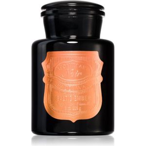 Paddywax Apothecary Noir Baltic Ember geurkaars 226 g