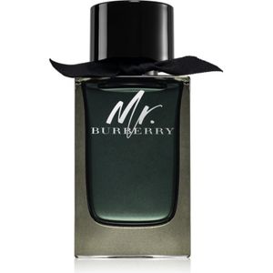 Burberry Mr. Burberry EDP 150 ml