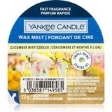 Yankee Candle - Wax Melt - Cucumber Mint Cooler - 22 g