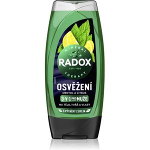 Radox Men Feel Strong - Douchegel en Shampoo 2in1 - Mint & Tea Tree - 225 ml
