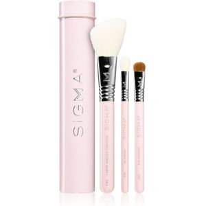 Sigma Beauty Essential Penselen Set met Etui