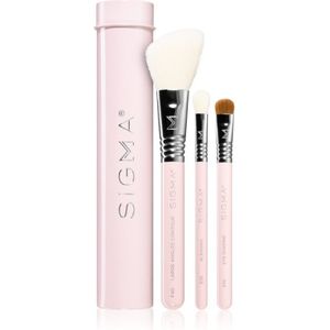 Sigma Beauty Essential Penselen Set met Etui