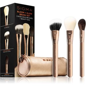 Sigma Beauty Brush Set Bloom + Glow Penselen Set met Etui