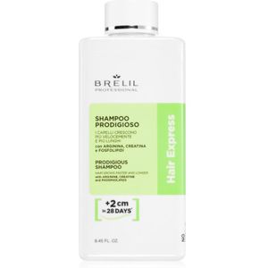 Brelil - Hair Express Prodigious Shampoo - 250 ml - Shampoo voor Vrouwen