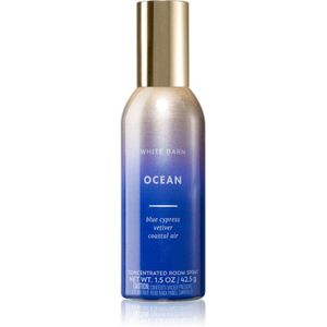 Bath & Body Works Ocean huisparfum 42,5 g