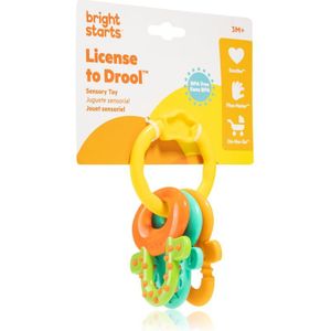 Bright Starts Teether & Rattle rammelaar met bijtring 3m+ 1 st