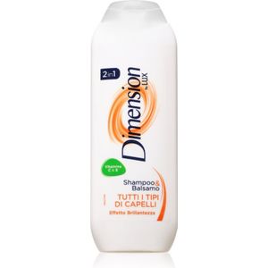 Dimension by Lux - 2in1 Shampoo en Conditioner - Voor Alle Haartypen - 250 ml