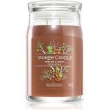 Yankee Candle Praline & Birch geurkaars 567 g