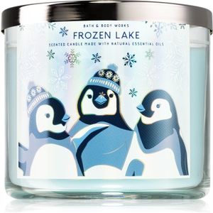 Bath & Body Works Frozen Lake geurkaars IV. 411 gr