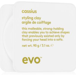 EVO Style Cassius Haarstyling Klei voor Fixatie en Vorm 90 g
