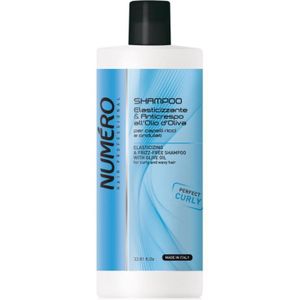 Brelil Professional Elasticizing & Frizz-Free Shampoo Shampoo voor Krullend Haar 1000 ml