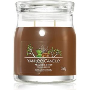 Yankee Candle - Praline & Birch Signature Medium Jar