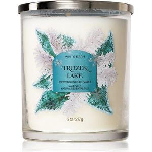 Bath & Body Works Frozen Lake geurkaars 227 g