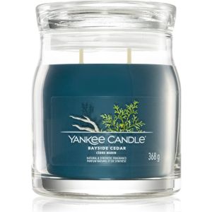 Yankee Candle - Bayside Cedar Signature Medium Jar