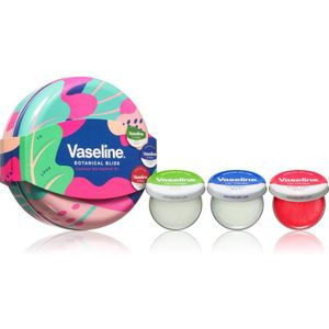 Vaseline - Botanical Bliss Set - Lippenbalsems - 3 Stuks - Cosmetica