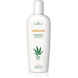 Cannaderm - Capillus Caffeine - Shampoo - Hennepolie - 150 ml