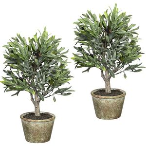 Olijfboompje, VE = 2 stuks, met 7 olijven, hoogte 370 mm, natuurlijke pot 115 x 85 mm