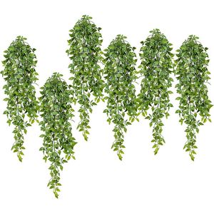 Epipremnum blad minihangplant, VE = 6 stuks, lengte ca. 800 mm, groen