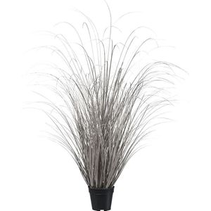 Gras in pot, totale hoogte 1200 mm, champagne