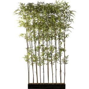 Bamboe scheidingswand, in een houten kist, UV-bestendig, hoogte 2000 mm