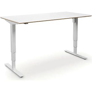 Bureau Atlanta Trend, elektrisch in hoogte verstelbaar, recht, b x d = 1600 x 800 mm, wit/wit